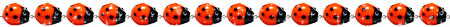 113.gif