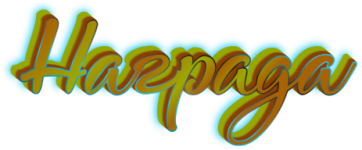 5.png