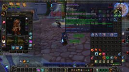 WoWScrnShot_050526_003520.jpg