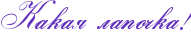 RkakayPlapoCkaIG2.png