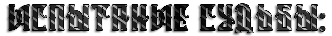 SELj.png