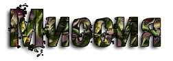 S9vZ.png