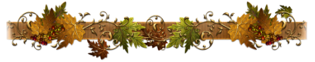 S51s.png