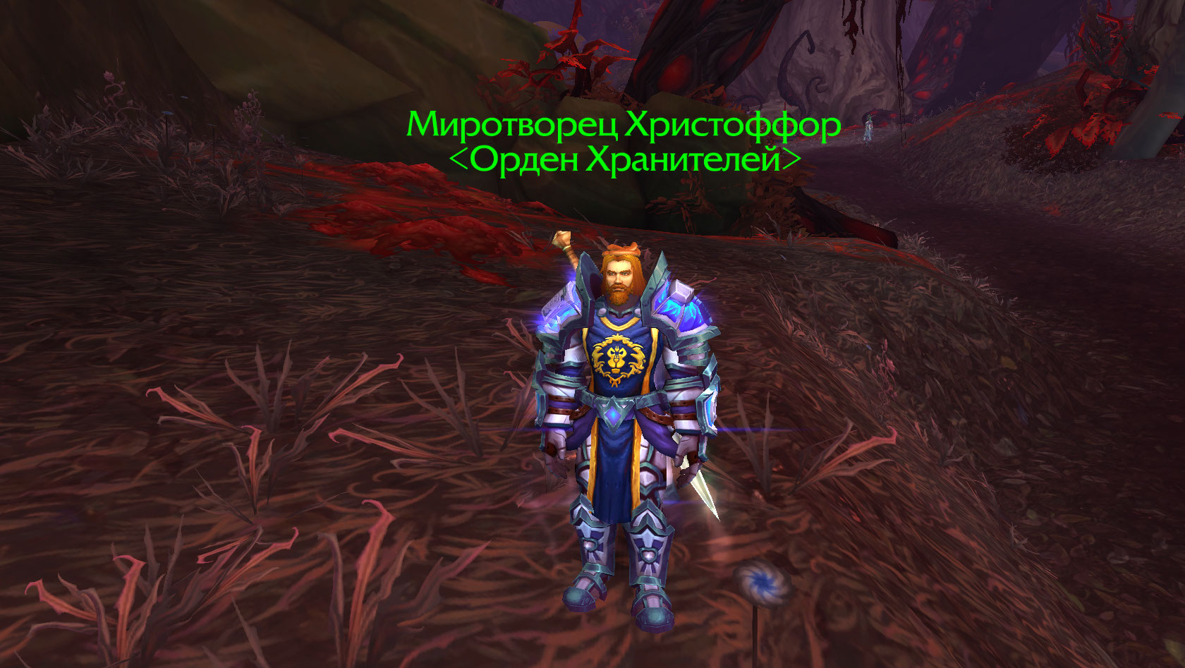 ScE9.jpg