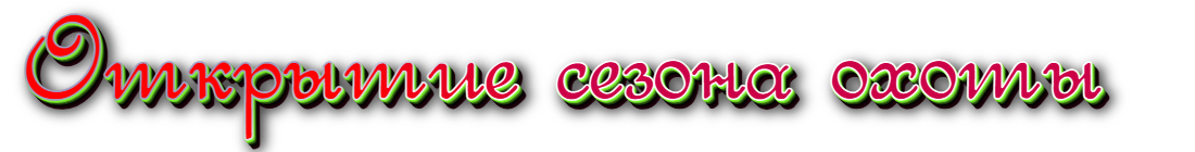 qN3s.png