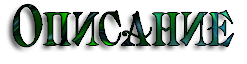 SPO6.png