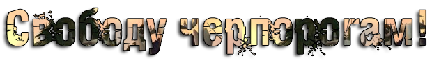 SPnw.png