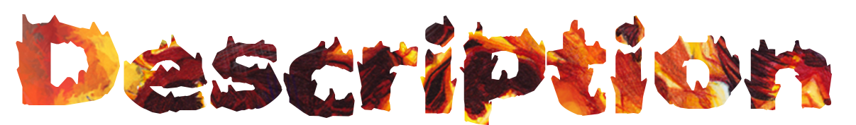 S2Yp.png