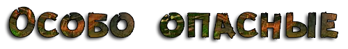 ScOy.png