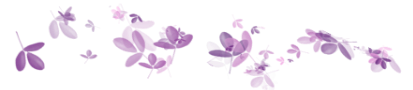 S5NK.png