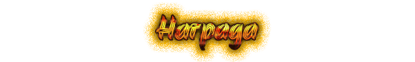 SDNZ.png