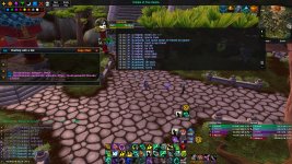 WoWScrnShot_100825_125302.jpg