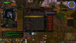 WoWScrnShot_061026_191047.jpg