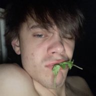Пельменидоел