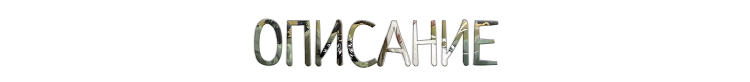 qNpc.png