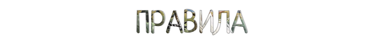 qNpe.png