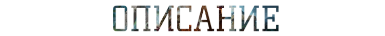 q6WM.png