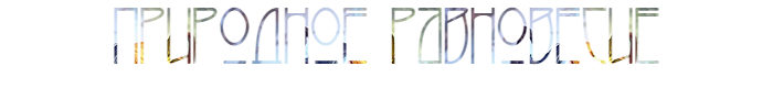 STqA.png
